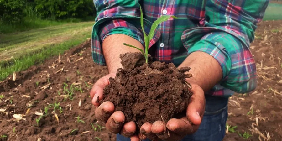 Illustrative image of Residual soil characterization in Fredericton